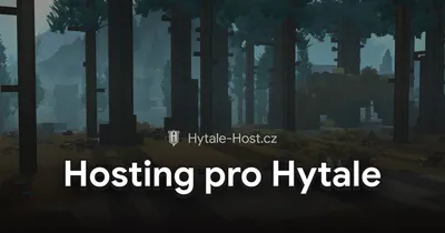 Checklist pro výběr nejlepšího hostingu pro Hytale server