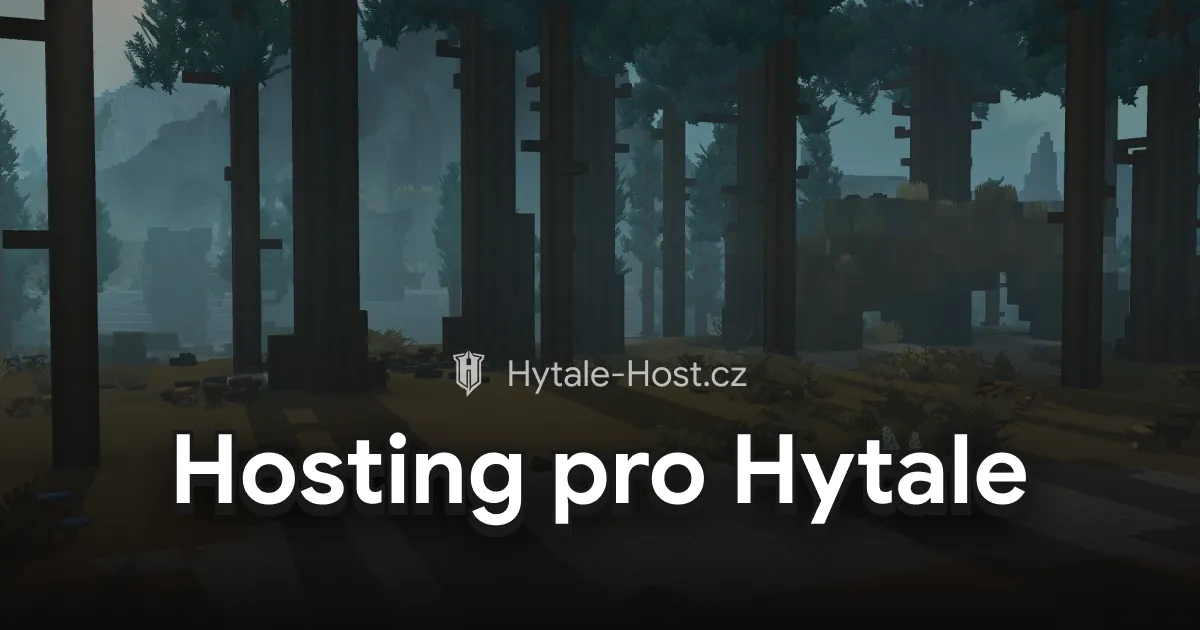 Checklist pro výběr nejlepšího hostingu pro Hytale server